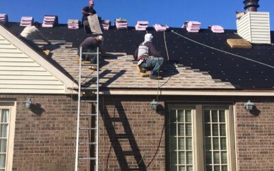 Window Replacement South Lexington: The Complete Homeowner’s Guide to Comfort, Efficiency, and Long-Term Value