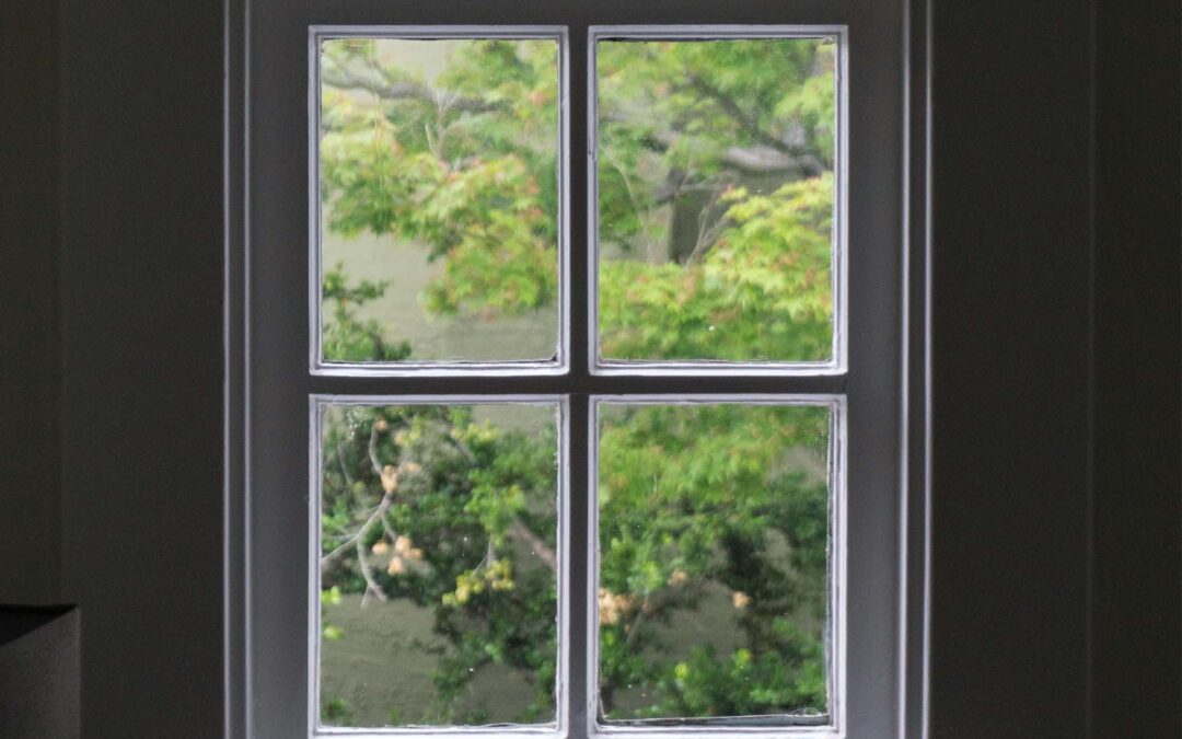 Best Window Company Lexington